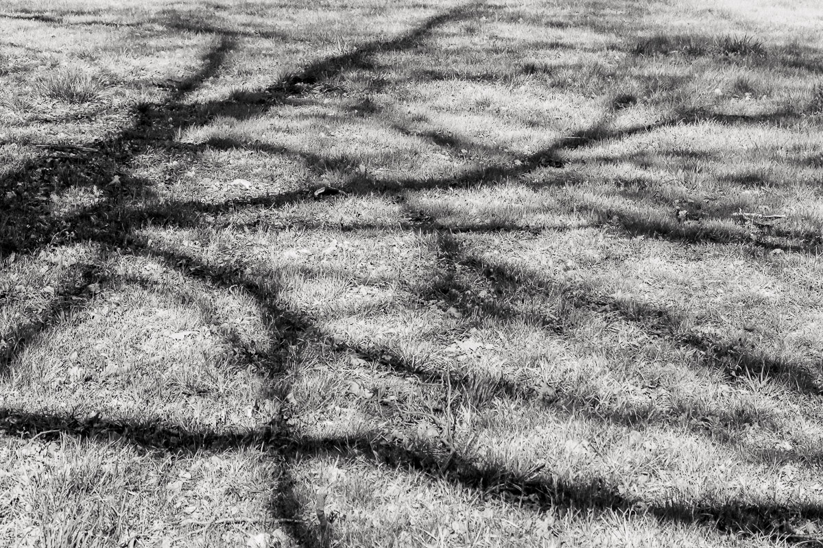 Stephan-Redel-0681-902-07286