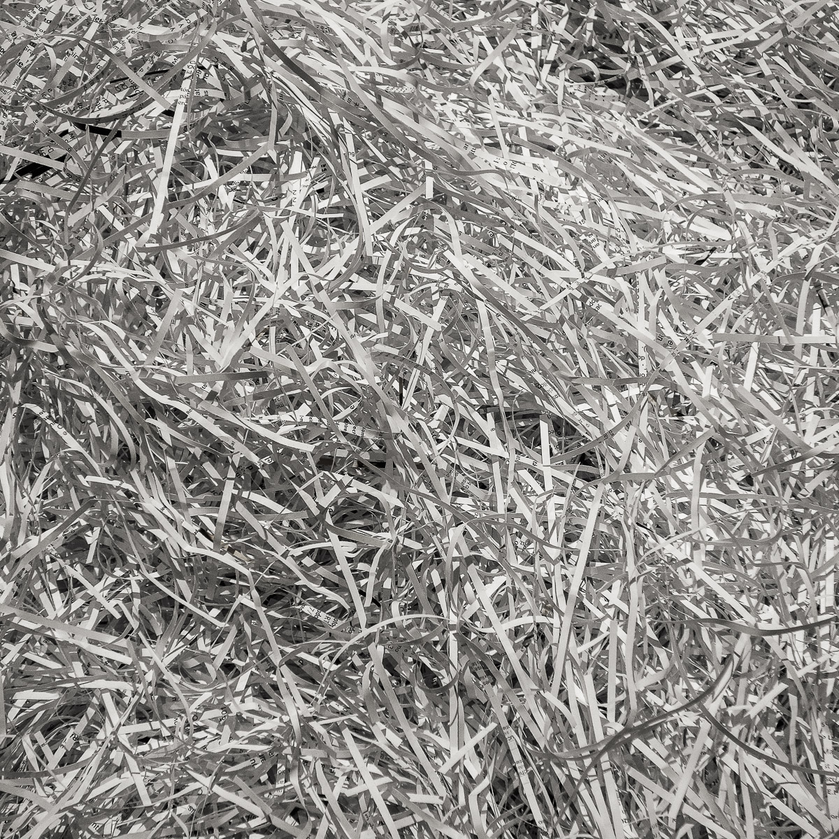 Stephan-Redel-0736-773-163