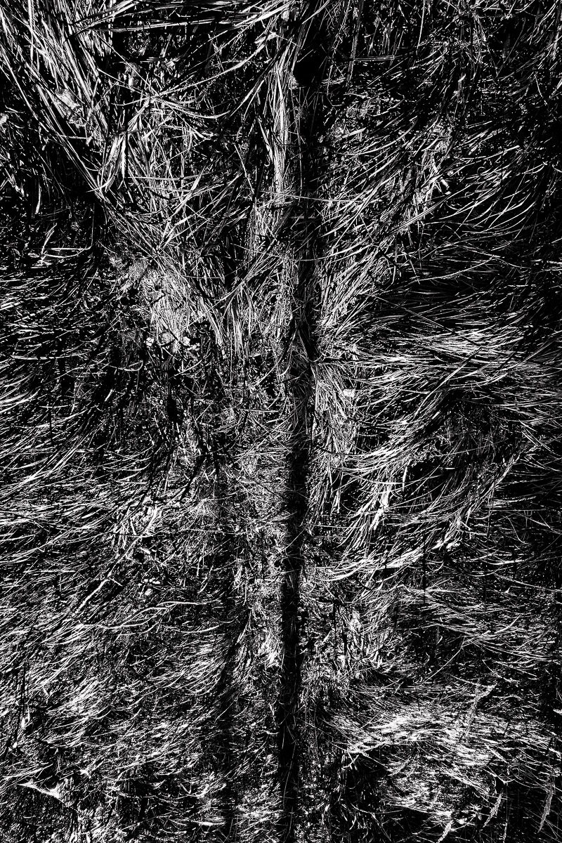 Stephan-Redel-0818-752-054