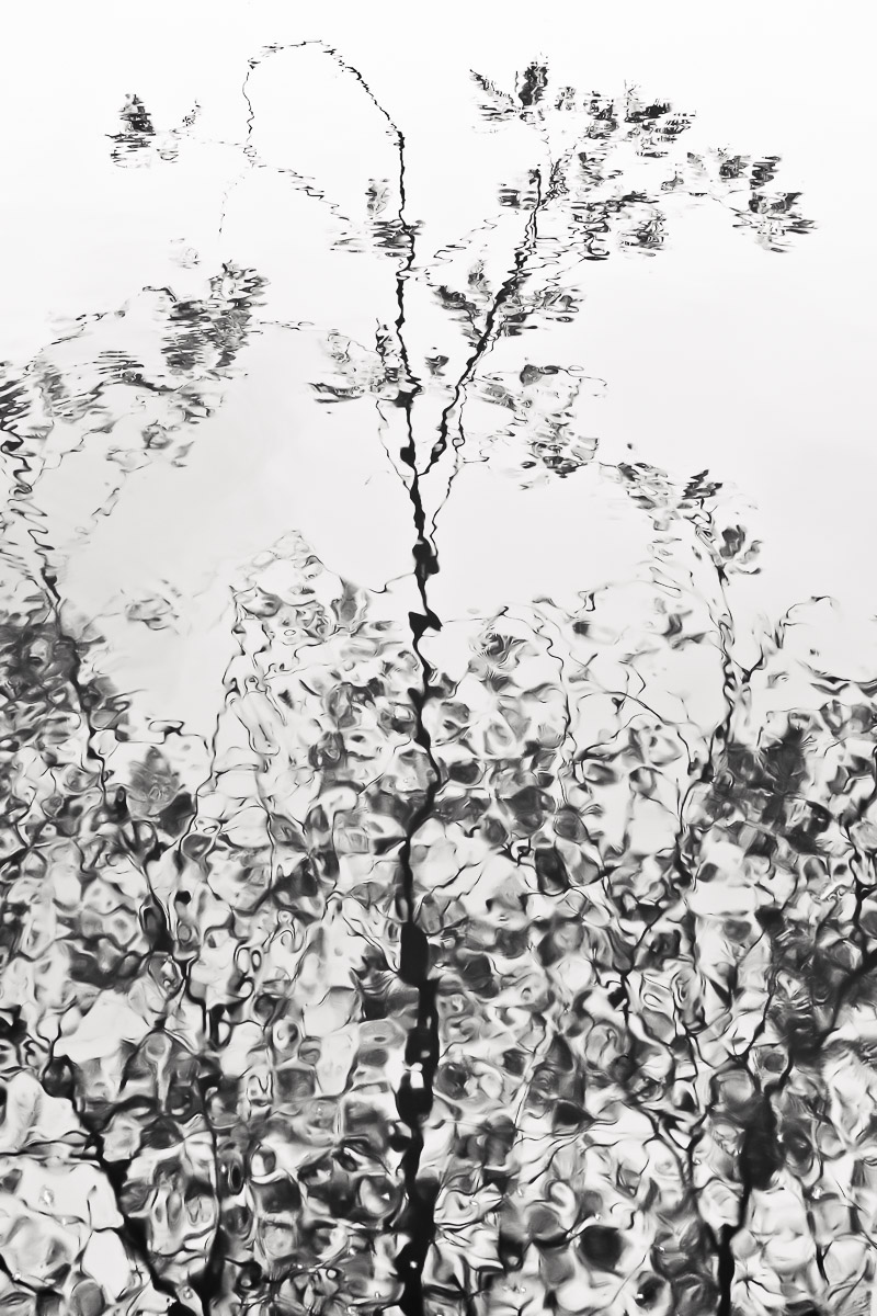 Stephan-Redel-0823-548-2276