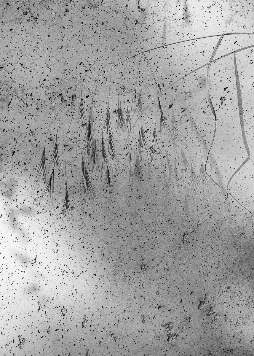 Stephan-Redel-0860-791-02616