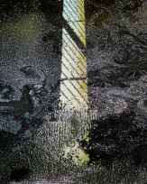 Stephan-Redel-0010-919-00894