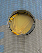 Stephan-Redel-0018-1119-2864