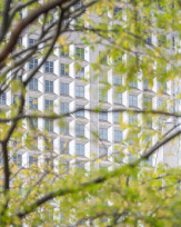 Stephan-Redel-0050-1119-2900