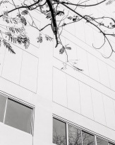 Stephan-Redel-0054-780-0822