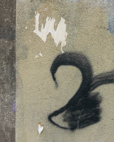 Stephan-Redel-0074-919-01274