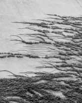 Stephan-Redel-0076-919-01170