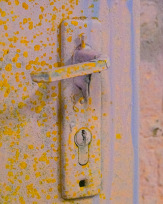 Stephan-Redel-0077-919-00912