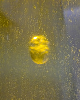 Stephan-Redel-0087-1112-06847