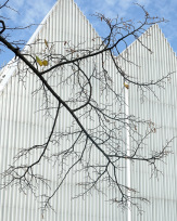 Stephan-Redel-0092-1028-0298