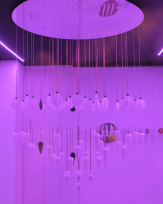 Stephan-Redel-0096-892-0884