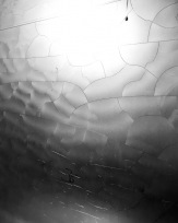 Stephan-Redel-0100-1083-02171