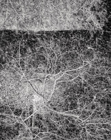 Stephan-Redel-0135-1083-3900