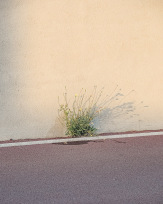 Stephan-Redel-0159-1072-0587