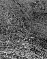 Stephan-Redel-0168-1074-03173