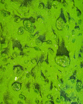 Stephan-Redel-0174-1076-546