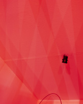 Stephan-Redel-0178-537-6296