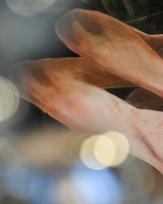 Stephan-Redel-0223-980-1252