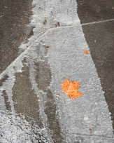 Stephan-Redel-0247-1029-3623