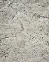 Stephan-Redel-0252-824-0358