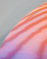 Stephan-Redel-0257-1012-7195