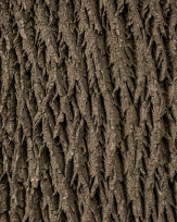 Stephan-Redel-0273-1009-01651