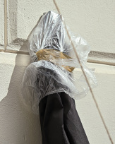 Stephan-Redel-0287-1095-0306