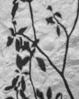 Stephan-Redel-0298-780-2592