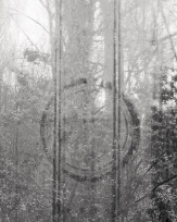 Stephan-Redel-0299-1004-519