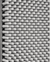 Stephan-Redel-0313-1029-2895