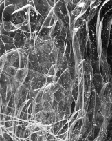 Stephan-Redel-0342-1029-0799