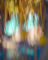 Stephan-Redel-0367-896-0358