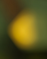 Stephan-Redel-0370-933-0436