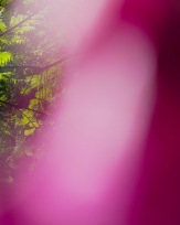 Stephan-Redel-0372-1012-02035