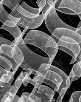 Stephan-Redel-0379-1025-06348