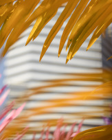 Stephan-Redel-0399-780-2143