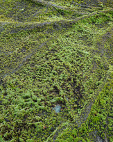 Stephan-Redel-0401-1071-116