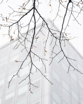 Stephan-Redel-0429-814-2189