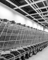 Stephan-Redel-0439-828-04401