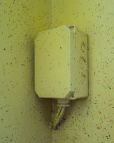 Stephan-Redel-0452-825-04060