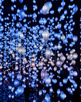 Stephan-Redel-0457-998-08578