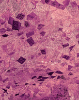 Stephan-Redel-0462-868-08083