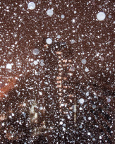 Stephan-Redel-0465-939-9166