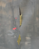 Stephan-Redel-0500-989-0527