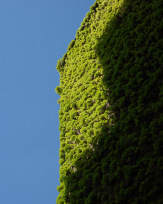 Stephan-Redel-0515-825-04057