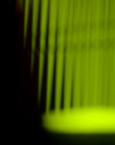 Stephan-Redel-0520-965-0008