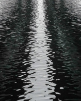 Stephan-Redel-0525-996-08329