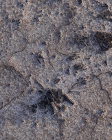 Stephan-Redel-0527-932-02596