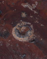 Stephan-Redel-0529-932-02622