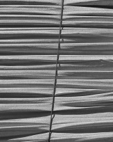 Stephan-Redel-0533-981-2296